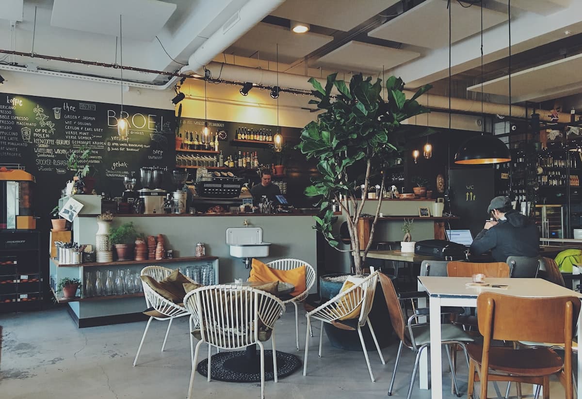 A cosy cafe interior with plants and warm light